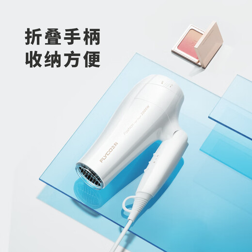 飞科电吹风机家用护发负离子大功率静音小型宿舍用学生速干吹风筒 飞科FH6296青春色赠【卷梳套装】
