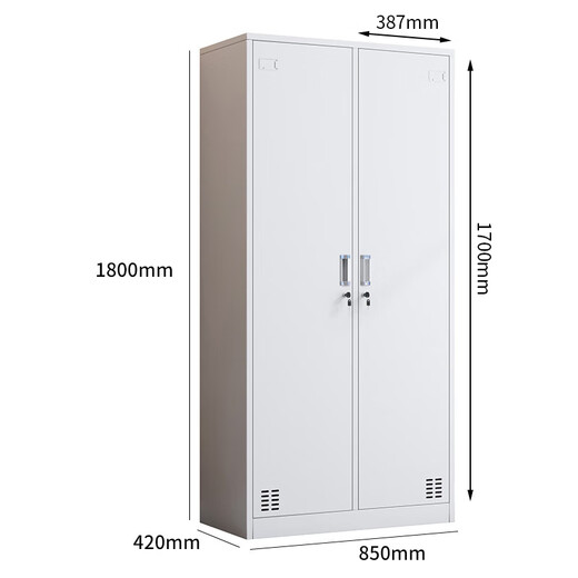 Dingmiao famous craftsman steel two-door locker iron cabinet employee locker with lock double-door dormitory changing wardrobe coat cabinet home