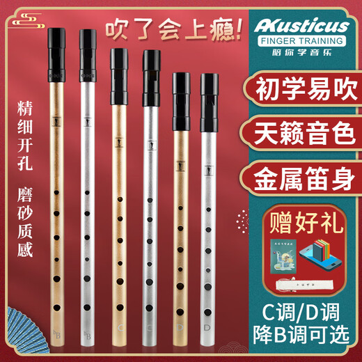 杉贝爱尔兰哨笛C调D调笛子儿童初学者高音直笛竖笛六孔乐器 演奏款C调金色+丰富