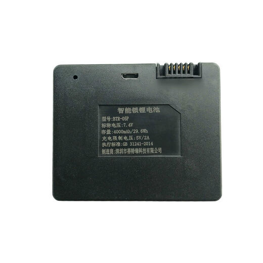 XMSJ全自动指纹锁电池 罗曼斯DD3 9896-B ZNS-04L 智能锁专用电池 电池+充电器一-套