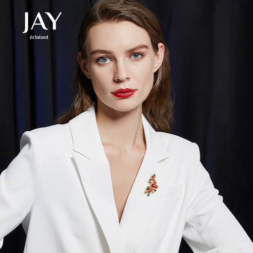 Jay Shishi Ruyi brooch for women Chinese style New Year's celebration birthday gift for elders, mother and mother-in-law