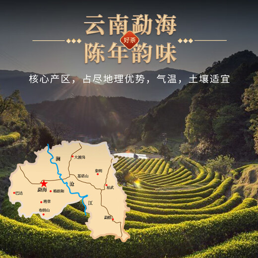 Hongyun Fresh Pu'er Té Especial 15 años Yunnan Antiguo Tree Pu'er Té maduro Té negro suelto envejecido Pu'er Té hojas de té 500 g Pack