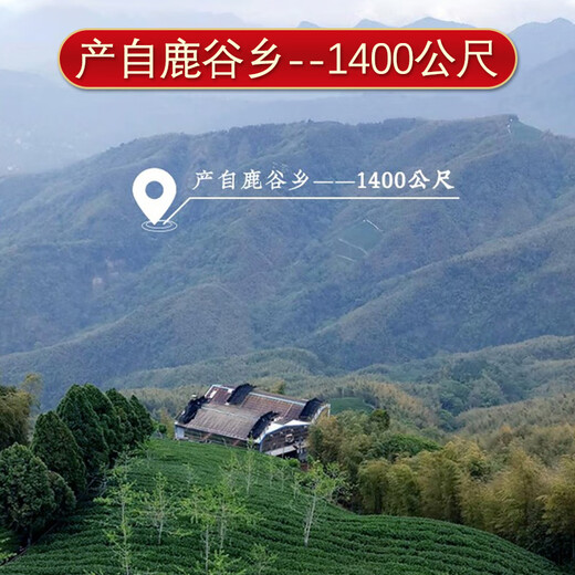 Junshang Gold Award Frozen Oolong Tea Taiwan Original Importée Super Alishan Oolong Tea High Mountain Tea Box Box Gift [Importée à Taiwan] 150g * 2 Canes + Tote Sac