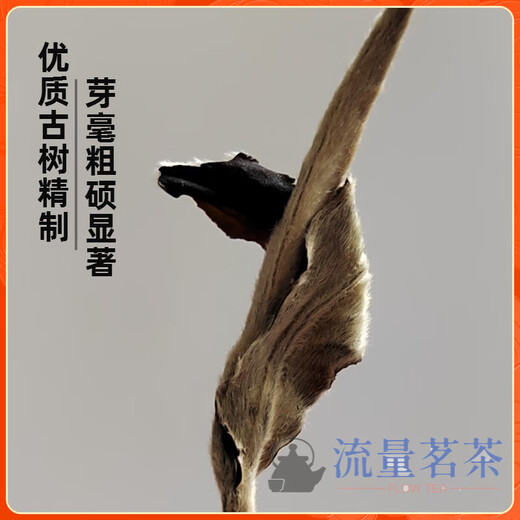 Qiu Boyuan Mid-Autumn Ceremony 2024 Yunnan Ancient Tree White Tea Alpine Yangta Moonlight Beauty White Peony Spring Tea Bag Loose Tea 250g