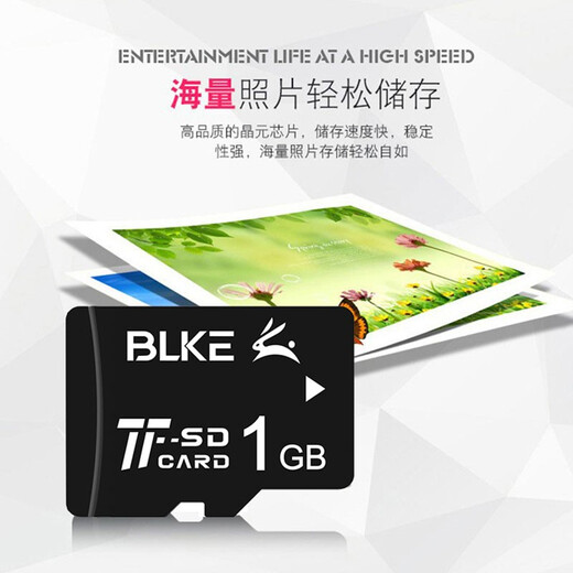 BLKE tf卡 手机内存卡小容量小卡设备通用存储卡microSDMP3扩音器收音机音箱点读机 小容量 TF卡 2G TF卡(单卡)