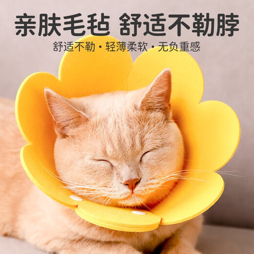 Qi Oh Cat Collar Elizabeth Collar Cat Soft Collar Dog Elizabeth Anti-Scratch, Anti-Bite, Anti-Lick Headgear Neutering Supplies Yellow - Breathable and Skin-Friendly M Suitable for 5-9 Jin Jin equals 0.5 kg