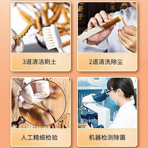 [Cordyceps authentiques] GRAND GRASSE BROCKET Cordyceps authentiques Authentiques Herbe Cordyceps Grass Brokés Cordyceps Grass Broken Fed Tonic pour l'auto-fourrure Cordyceps Tibet Big Broken Grass Cordyceps 20 grammes obtiennent 1 gramme [Total 21 grammes]