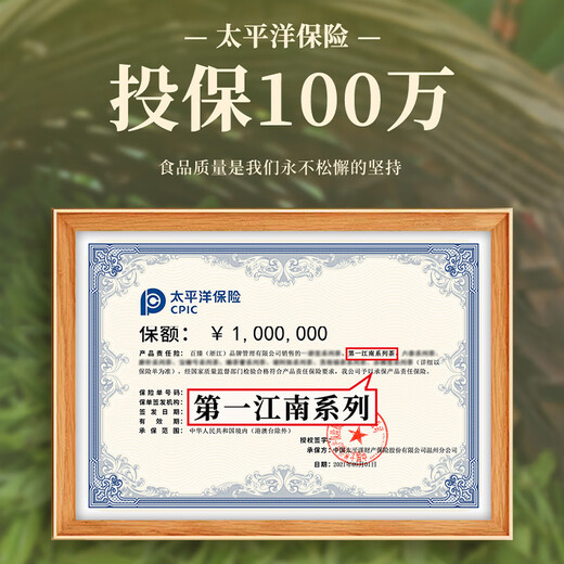 Erster Jiangnan 2025 neuer Tee Green Tea Longjing 200g Mingqian Tee Geschenkbox Konserven Frühling Tee Sprout