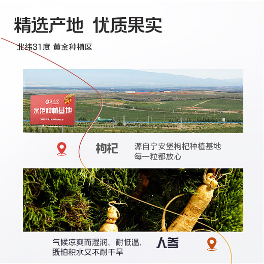 Ning'anbao Ginseng et Wolfberry Powder 1800ml Changbaishan Ginseng Juice Ningxia Red Wolfberry Juice