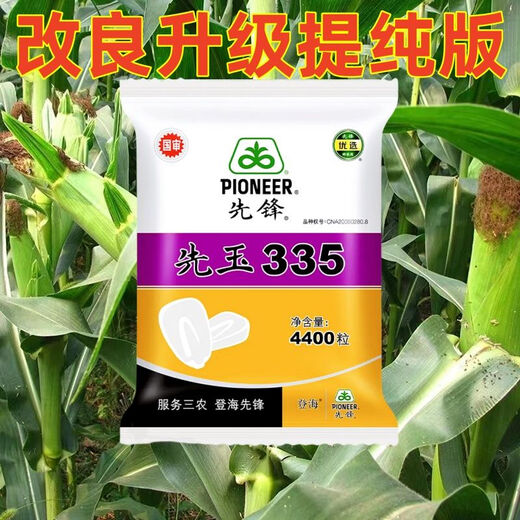 New insect-resistant version of Pioneer Xianyu 335 nationally approved corn seeds, high-yielding corn seeds, good seeds from the north and south. Insect-resistant version of Xianyu 335 original 1 bag 4400 grains