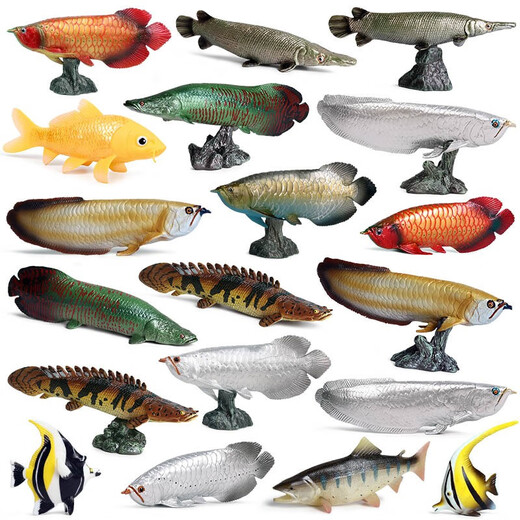 Spielzeugfisch erkennt die gefälschte Fischsimulation von Kindern Ozeanwasser Fischmodell Tierlachs Mann Thunfisch gesalzene Fischqualle M-1151 Krokodil El