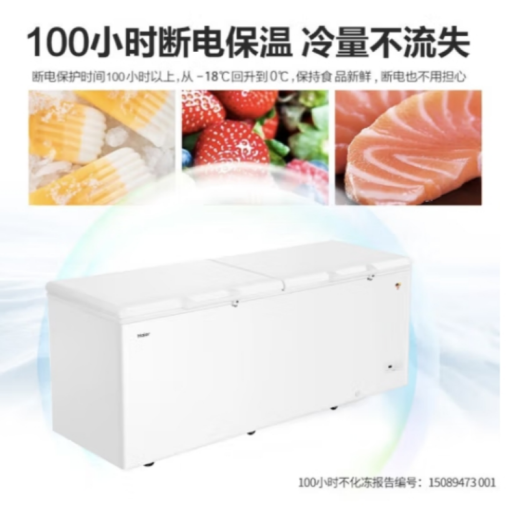 海尔海尔冷柜BC/BD-629HEZ 纯白 829L BC/BD-829HEZ