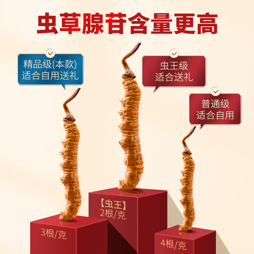 
Tongfu Cordyceps sinensis 3 roots/g 100g About 300 roots gift boxes, nourishing nutritional supplements, gifts for elders
