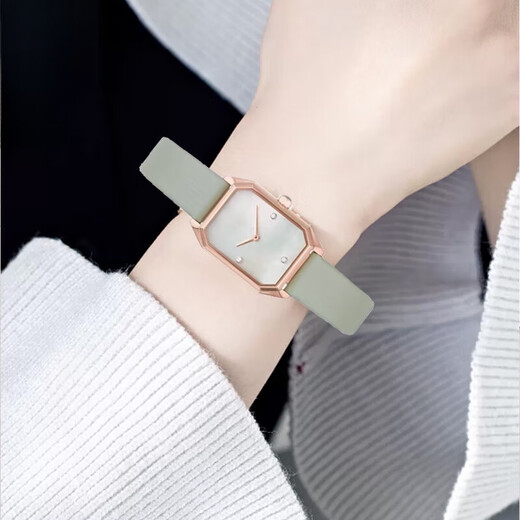Ersetzen Sie Original Armani Watch Armband AR11302 1959 11149 Serie Mode Frauen echtes Leder Uhrengurt hellgrüne Silver Schnalle 14mm