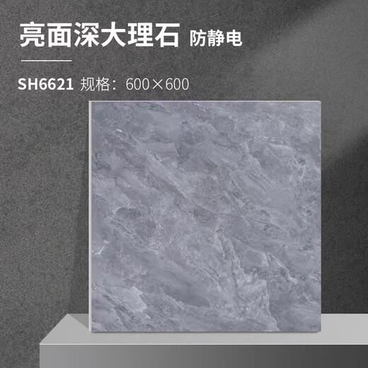 道诺防静电瓷砖 直铺式抗静电地砖600*600*10 （单位：片） 深大理石纹6621