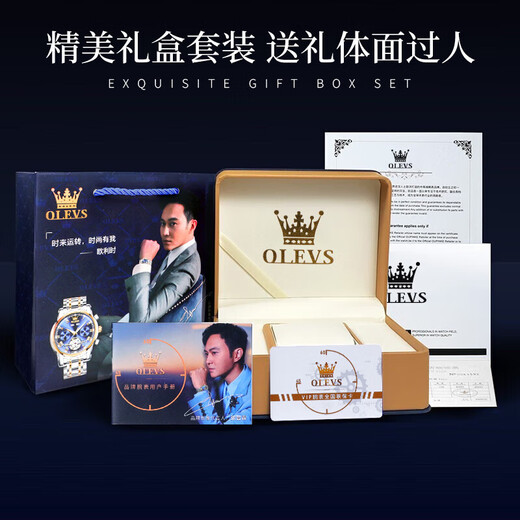 Oleeis Olevs Swiss Certified Brand Watch Men's Mechanical Uhr