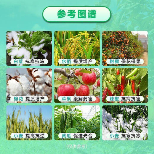 Aminobutanol foliar fertilizer, disease resistance, rooting, fruit trees, vegetables, flower preservation, fruit yield increase, plant growth regulator, cold resistance, growth promotion 10g *1 bag