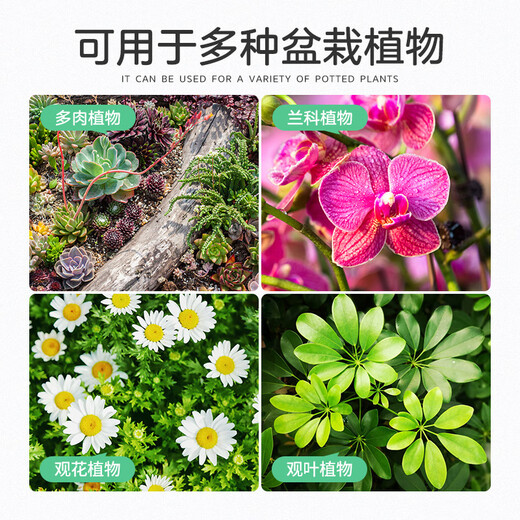 Greenpan red jade soil bonsai special planting matrix climbing pet weathered particles hard mat material 2.5kg3-6mm large packaging