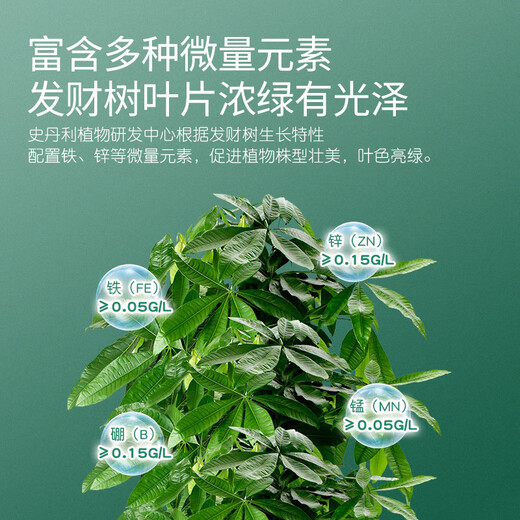 Stanley Money Tree Nutrient Solution Fertilizer Special Fertilizer to Prevent Yellow Leaves, Dead Leaves and Root Rot, General Purpose for Indoor Potted Plants 500ml
