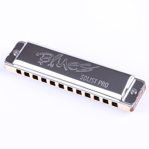 SEYDEL imported from Germany Seydel total scale 12-hole monophonic harmonica SOLIST PRO 12 SOLO 12-hole A-tune
