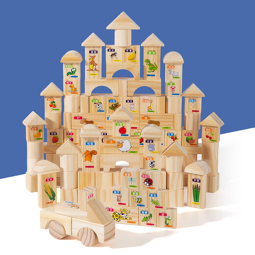 Sangetian (Sangty) Kinderbausteine ​​intellektuelle Puzzle -Form -Bausteine ​​zusammengebaut Spielzeug 100 Spielzeug für kleine Kinder, Jungen und Mädchen (2909) 100 Gemüse, Obst und Tiere Bausteine