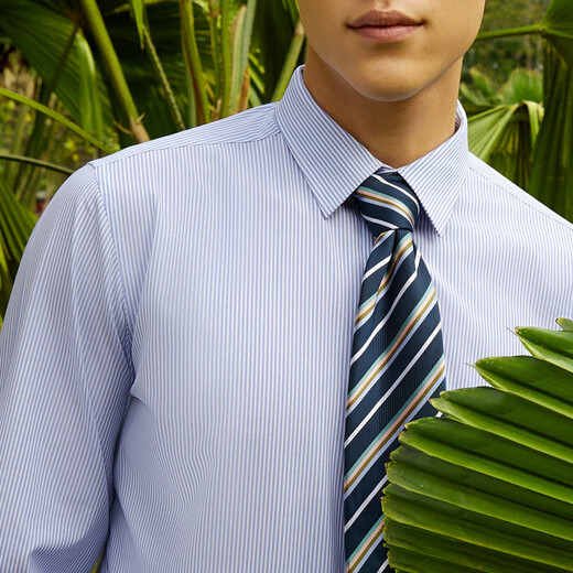 雅戈尔（YOUNGOR）Youngor/免烫衬衫男男士长袖衬衫条纹衬衫男轻商务易打理 白底蓝条 42 （180/100A）