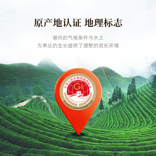 七春 茶叶凤凰单枞 鸭屎香单丛乌龙茶罐装500g 新茶叶自己喝送长辈