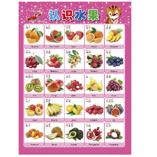 Popular Enlightenment Early Education Wall Chart Chinese Pinyin Alphabet Wall Chart Wall Sticker Early Years Connecting First Grade Consonants and Finals Training Children Learning Artifact Baby Character Title