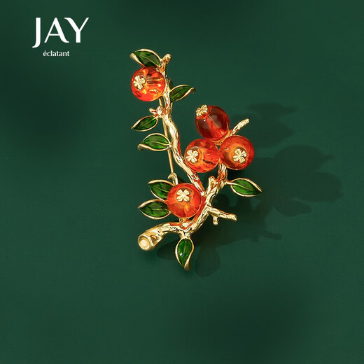 Jay Shishi Ruyi brooch for women Chinese style New Year's celebration birthday gift for elders, mother and mother-in-law