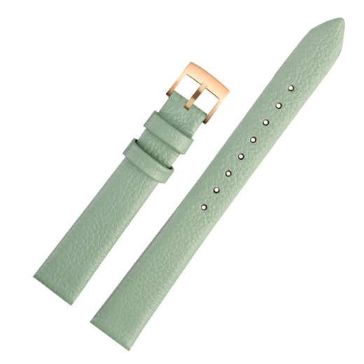 Ersetzen Sie Original Armani Watch Armband AR11302 1959 11149 Serie Mode Frauen echtes Leder Uhrengurt hellgrüne Silver Schnalle 14mm