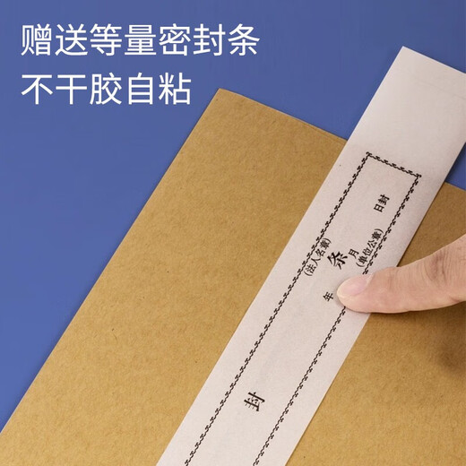 于字简 A4投标专用文件袋进口木浆招标资料袋牛皮纸档案袋15cm 10个装 附带等量密封条 2629