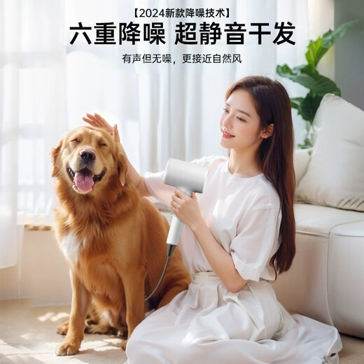 Romani 2000W ultra-high power | 200 million negative ions for hair care, high-speed hair dryer for home use, quiet, quick-drying, no harm to hair, strong wind hair dryer, hair salon and barber shop special dryer