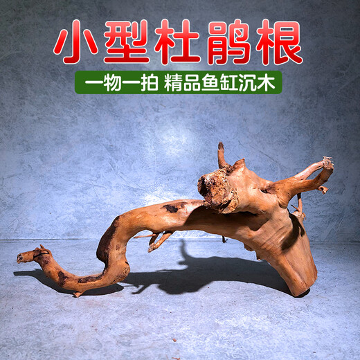 Natural sunken wood azalea root fish tank landscaping material habitat for fish and shrimp to avoid lizards climbing and pet arch bridge ornaments Selected medium-sized azalea roots 18-25 cm 2 pieces Selected azalea root sunken wood