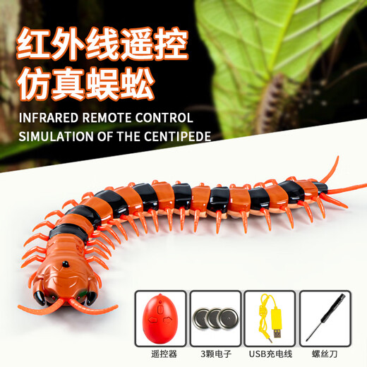Creation Secrets Remote Control Grasshopper Electric Toy Little Boy Girl Internet Celebrity Simulation Moving Insect Reptile Small Animal Tricky for Children Classic Version-Remote Control Centipede Yellow and Black Model 9901+ Screwdriver One Size
