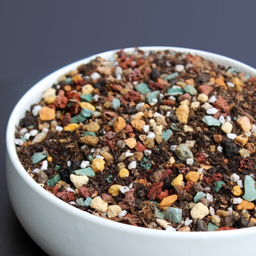 Green succulent special granular soil nutrient soil paving stone full particle universal medium potted planting soil decoration