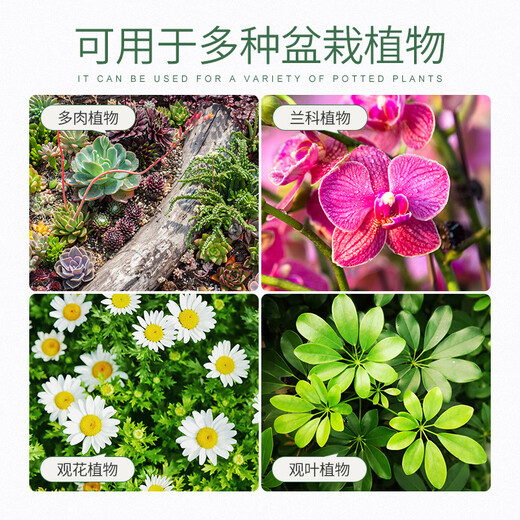 Stanley volcanic stone particles red volcanic rock bottom sand natural succulent orchids special flower cultivation red paving stone 5Jin Jin is equal to 0.5kg