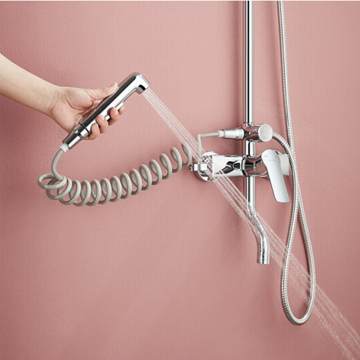 Daihuo Badezimmerpaket Toilette Dusche Zwei-teilige Set Spray Siphon Langsamabdeckung Toilette mit Top Spray Dusche 62 6189 Toilette + 5511-P01CP Dusche 305 Grubenentfernung (Factory Direct Lieferung landesweit gemeinsame Versicherung)