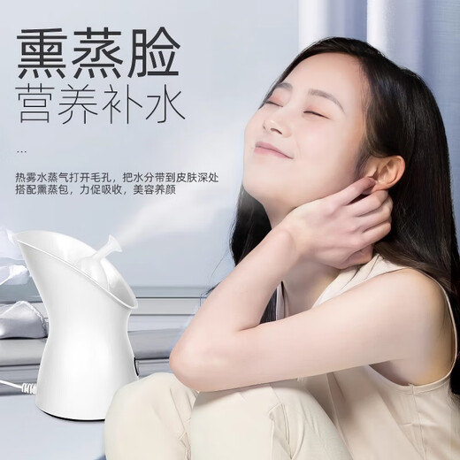 Golden Rice Hot Spray Facial Steamer Replenishing Moisture Facial Steamer Nano Sprayer Home Facial Beauty Instrument Facial Humidifier Smoky Face Steamer Open Pores Traditional Chinese Medicine Facial Steamer Girl Gift Ivory White