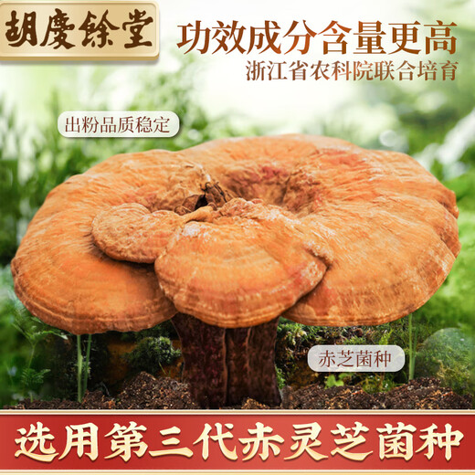 Hu Qingyutang gebrochene Wand Ganoderma lucidum spore pulverkapsel Blaues Kappenzertifizierung verstärkt die Immunernährung leicht zu absorbieren 0,35 g*60 Kappen/Flaschen vier Flaschen [zwei Geschenktüten]