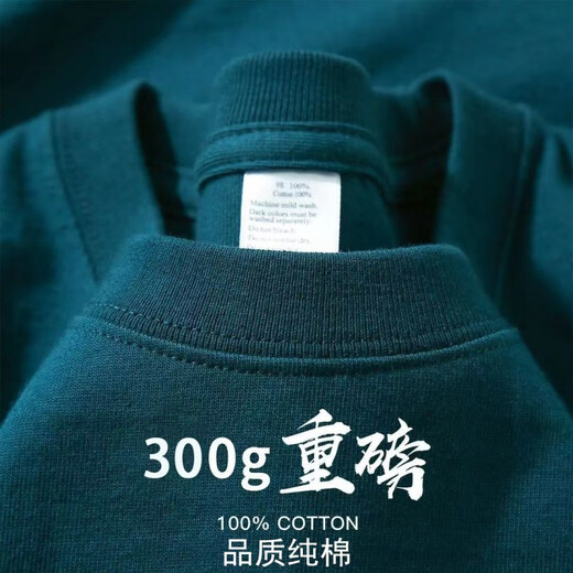 高级灰 300g重磅纯棉T恤厚实不透短袖男女纯色宽松大码打底上衣服 香芋紫-300g重磅 2XL建议190-210斤