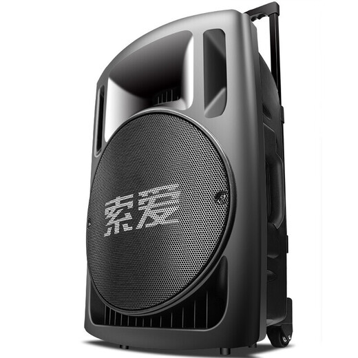 Sony Ericsson SA-T29 outdoor 15-inch high-power subwoofer square dance speaker mobile karaoke singing trolley speaker 15-inch shocking bass + 2 wireless microphones