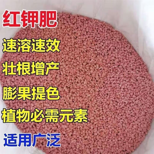 Potash fertilizer wholesale Russian imported high-potassium high-efficiency fertilizer universal instant fertilizer for agricultural flowers, fruit trees and vegetables red granular potash fertilizer 50Jin Jin equal to 0.5kg