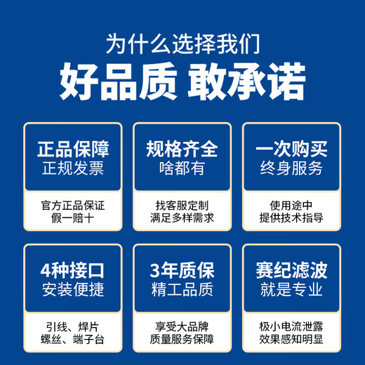 Saiji SJD410 series power filter 220V single-phase double section enhanced EMI anti-interference terminal block socket purifier SJD410-6-DT
