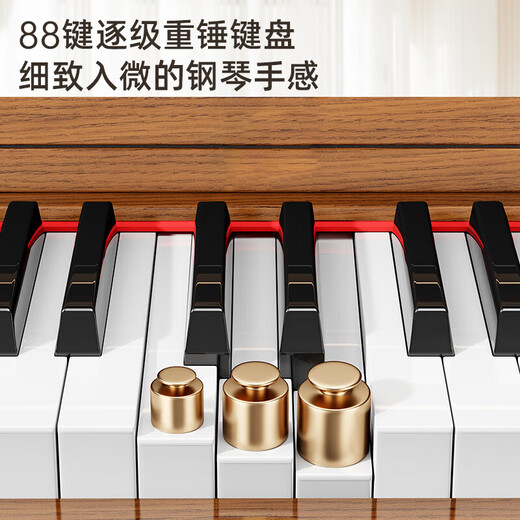 贝琪电钢琴重锤88键成人家用初学者专业考级家用书桌电子钢琴B826棕