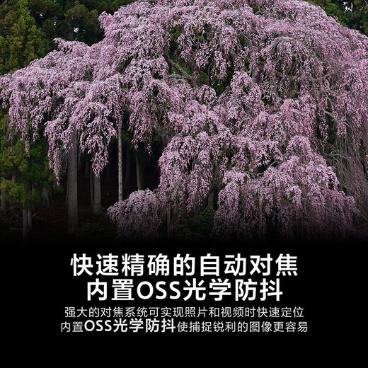 Sony (SONY) FE 70-200mmF2.8 GM OSS 2nd Generation G Master Big Three Element Lens 70-200 Bird Hunting, Capture, Sports, National Subsidy, Limited Time Bonus Knicks 77UV+ Cleaning Kit Basic Package