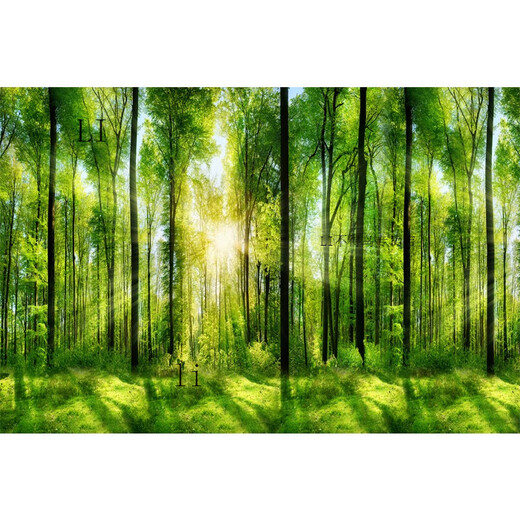 ZHEWEI-Wanddekoration Malmalerei 3D dreidimensional Tapete Desktop-Aufkleber Wandbilder natürliche Waldlandschaft selbstschützender SN3892 Pastoralstrom kleine Trompetenbreite 80 cm