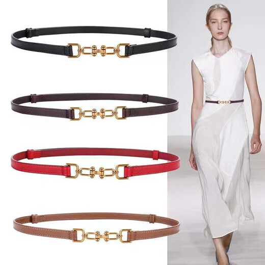 Nine-inch sunshine Korean style belt belt for women decorated coat with skirt blazer outer versatile buckle adjustable thin belt for women black (brown inside and black outside)