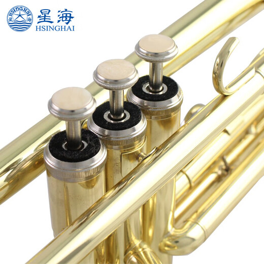 Xinghai trumpet B-flat brass tube Western musical instruments, beginners and beginners to perform musical instruments, B-flat brass E-581