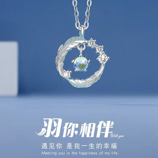 Warme Farben Pure Silver Necklace for Women Light Luxury Simple Feather Design Clavicle Chain Pendant for Women Practical Birthday Gift for Wife Glazed Stone Feather Necklace