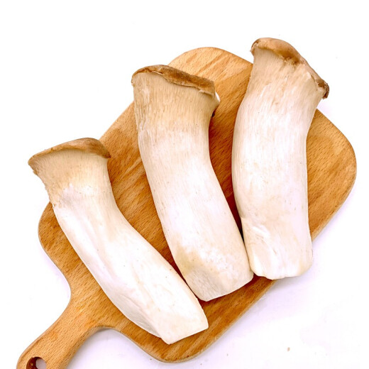 Jingguo Yiren Pleurotus eryngii is commonly used in soups and barbecues, fresh vegetables, edible mushrooms, Pleurotus eryngii, and drumstick mushrooms, now harvested and packed in 3 Jin [Jin equals 0.5 kg]